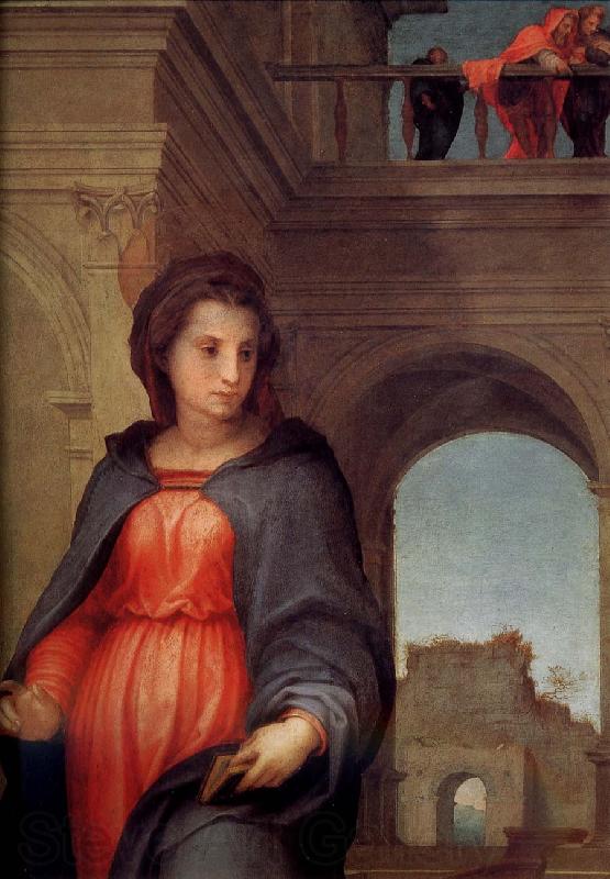 Andrea del Sarto Announce in detail Norge oil painting art